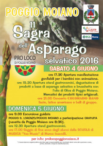 11SagraAsparago2016