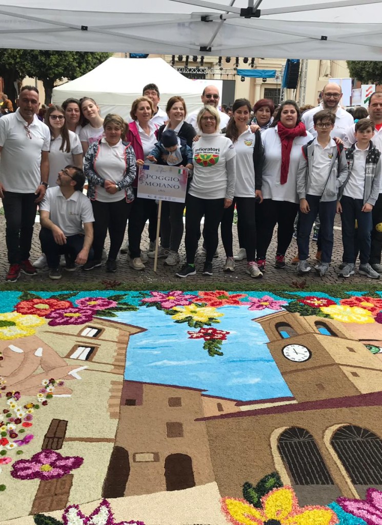 IMMAGINE INFIORATA 4