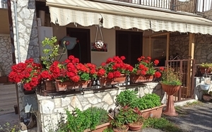 Balcone Addobbato per Infiorata di Poggio Moiano